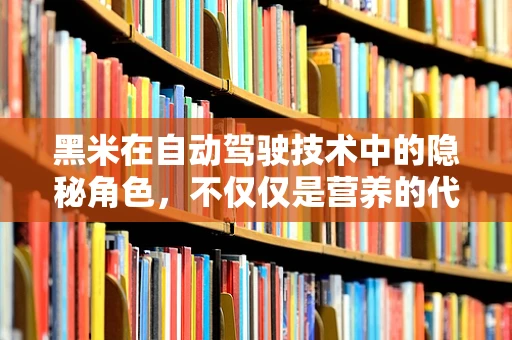 黑米在自动驾驶技术中的隐秘角色，不仅仅是营养的代名词