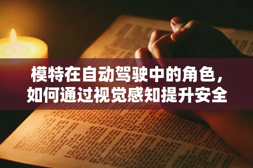 模特在自动驾驶中的角色，如何通过视觉感知提升安全？