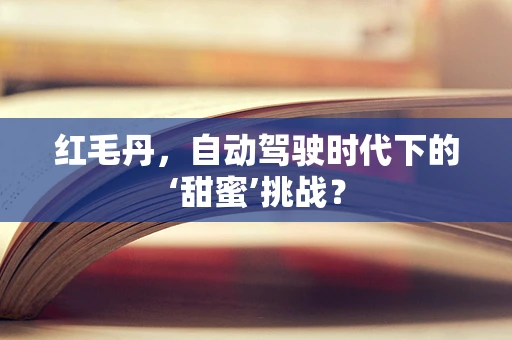 红毛丹，自动驾驶时代下的‘甜蜜’挑战？