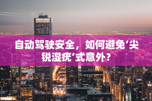 自动驾驶安全，如何避免‘尖锐湿疣’式意外？