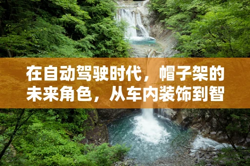 在自动驾驶时代，帽子架的未来角色，从车内装饰到智能助手？