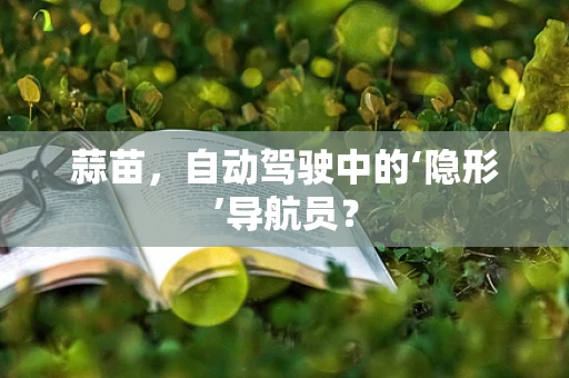 蒜苗，自动驾驶中的‘隐形’导航员？