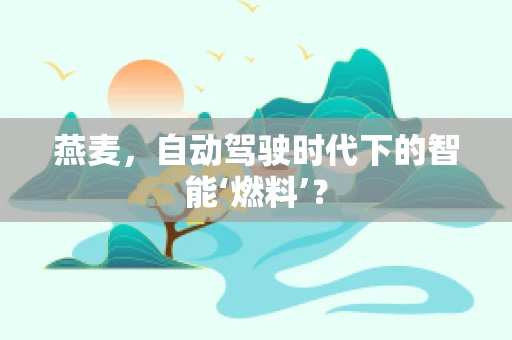燕麦，自动驾驶时代下的智能‘燃料’？