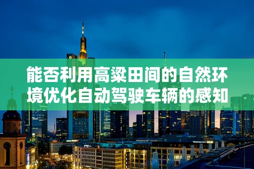 能否利用高粱田间的自然环境优化自动驾驶车辆的感知能力？