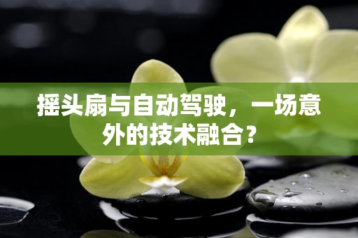 摇头扇与自动驾驶，一场意外的技术融合？