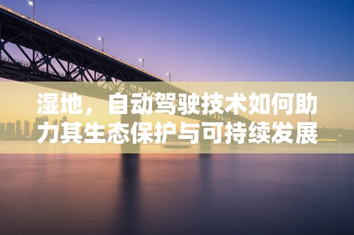 湿地，自动驾驶技术如何助力其生态保护与可持续发展？