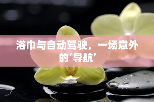 浴巾与自动驾驶，一场意外的‘导航’