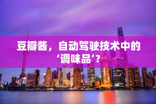 豆瓣酱，自动驾驶技术中的‘调味品’？