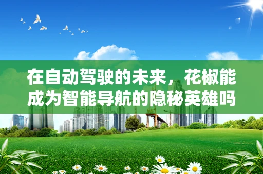 在自动驾驶的未来，花椒能成为智能导航的隐秘英雄吗？