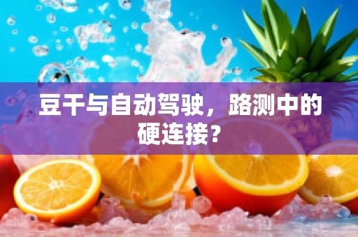 豆干与自动驾驶，路测中的硬连接？