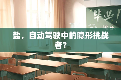 盐，自动驾驶中的隐形挑战者？