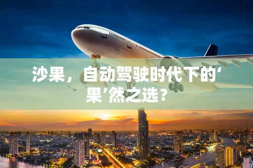 沙果，自动驾驶时代下的‘果’然之选？