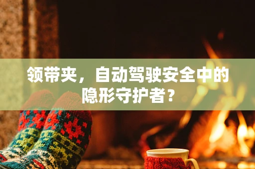 领带夹，自动驾驶安全中的隐形守护者？