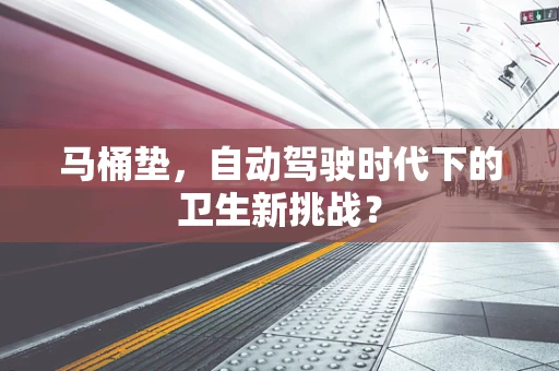 马桶垫，自动驾驶时代下的卫生新挑战？