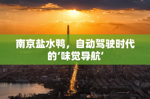 南京盐水鸭，自动驾驶时代的‘味觉导航’