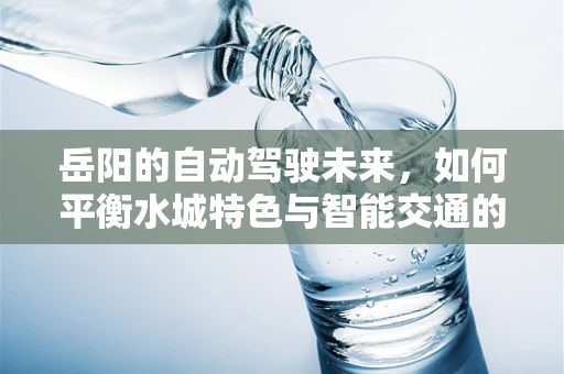 岳阳的自动驾驶未来，如何平衡水城特色与智能交通的融合？
