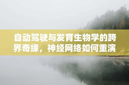 自动驾驶与发育生物学的跨界奇缘，神经网络如何重演胚胎发育？