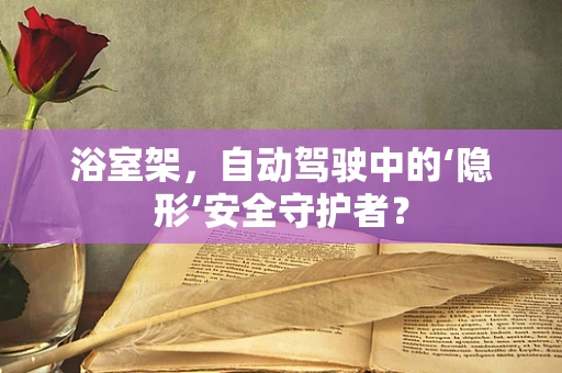 浴室架，自动驾驶中的‘隐形’安全守护者？
