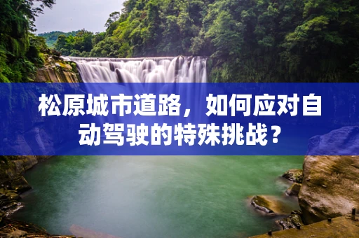 松原城市道路，如何应对自动驾驶的特殊挑战？