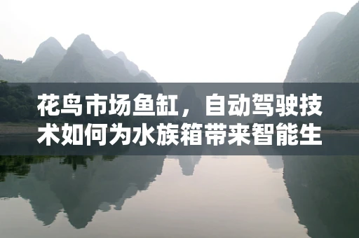 花鸟市场鱼缸，自动驾驶技术如何为水族箱带来智能生活？