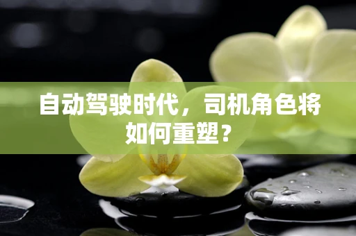 自动驾驶时代，司机角色将如何重塑？