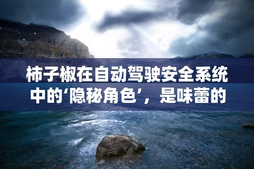 柿子椒在自动驾驶安全系统中的‘隐秘角色’，是味蕾的惊喜，还是技术的护航者？