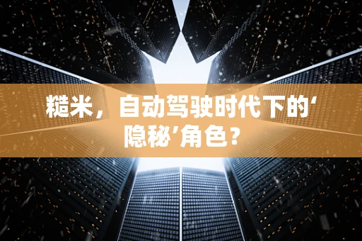 糙米，自动驾驶时代下的‘隐秘’角色？