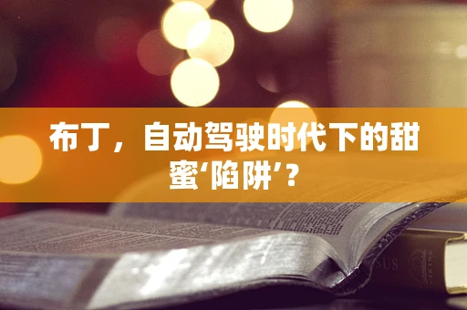 布丁，自动驾驶时代下的甜蜜‘陷阱’？