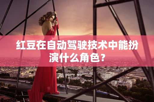 红豆在自动驾驶技术中能扮演什么角色？