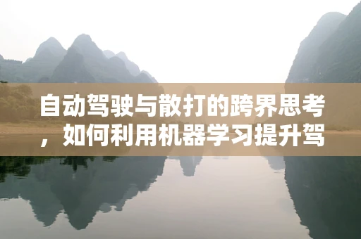 自动驾驶与散打的跨界思考，如何利用机器学习提升驾驶安全？