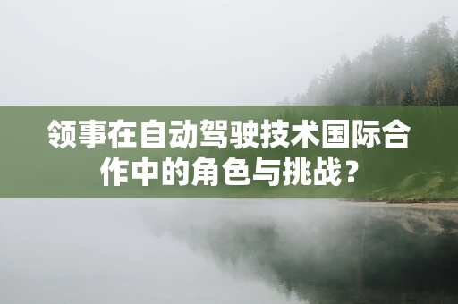 领事在自动驾驶技术国际合作中的角色与挑战？