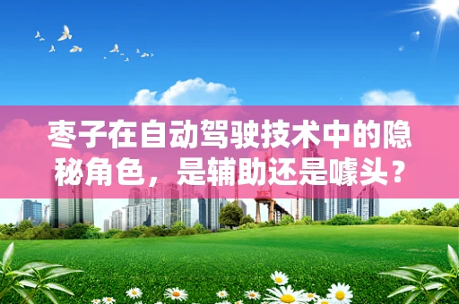 枣子在自动驾驶技术中的隐秘角色，是辅助还是噱头？