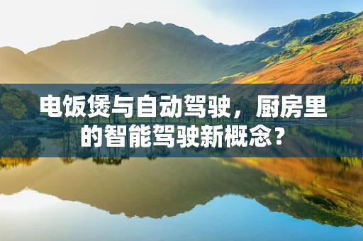 电饭煲与自动驾驶，厨房里的智能驾驶新概念？