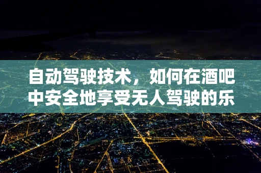 自动驾驶技术，如何在酒吧中安全地享受无人驾驶的乐趣？