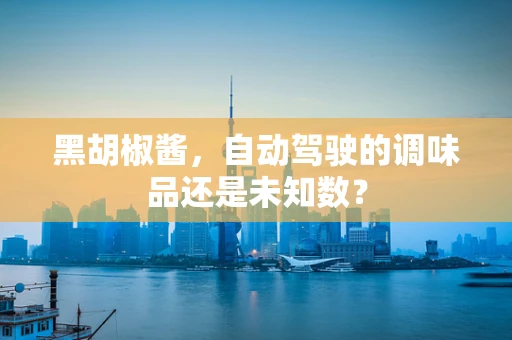 黑胡椒酱，自动驾驶的调味品还是未知数？