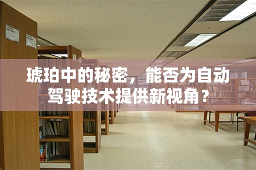 琥珀中的秘密，能否为自动驾驶技术提供新视角？