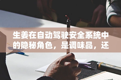 生姜在自动驾驶安全系统中的隐秘角色，是调味品，还是安全守护者？