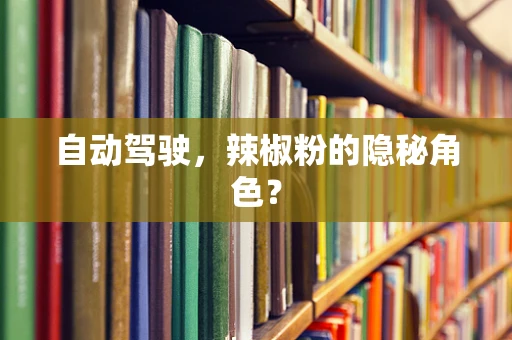自动驾驶，辣椒粉的隐秘角色？