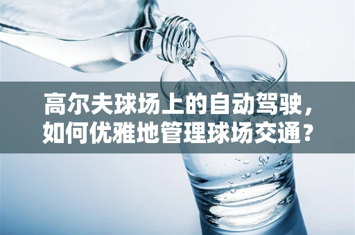 高尔夫球场上的自动驾驶，如何优雅地管理球场交通？