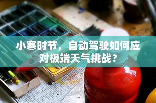 小寒时节，自动驾驶如何应对极端天气挑战？