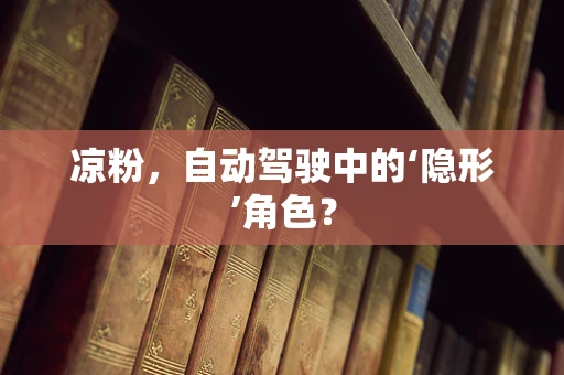 凉粉，自动驾驶中的‘隐形’角色？