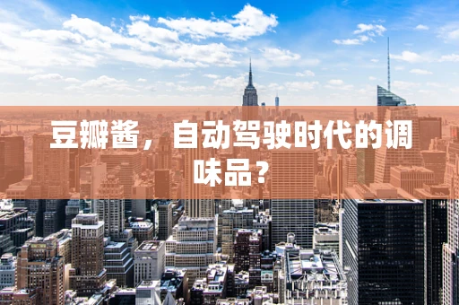 豆瓣酱，自动驾驶时代的调味品？