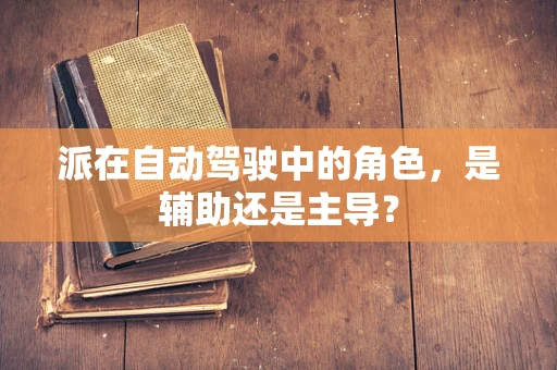 派在自动驾驶中的角色，是辅助还是主导？