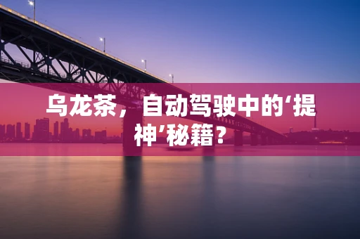 乌龙茶，自动驾驶中的‘提神’秘籍？