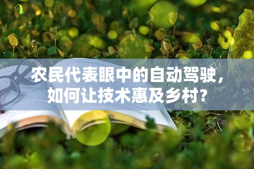 农民代表眼中的自动驾驶，如何让技术惠及乡村？