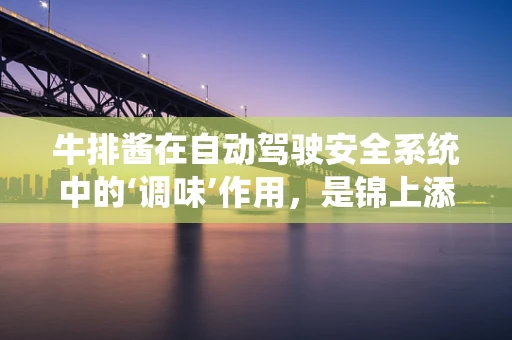 牛排酱在自动驾驶安全系统中的‘调味’作用，是锦上添花还是不可或缺？
