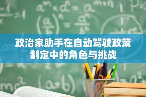 政治家助手在自动驾驶政策制定中的角色与挑战