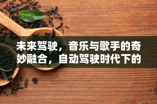 未来驾驶，音乐与歌手的奇妙融合，自动驾驶时代下的音乐体验