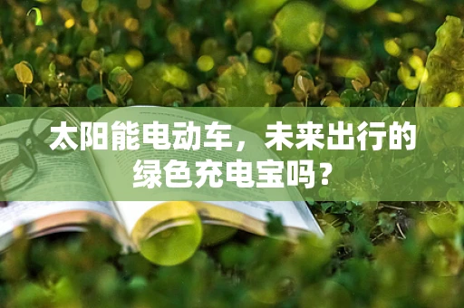 太阳能电动车，未来出行的绿色充电宝吗？