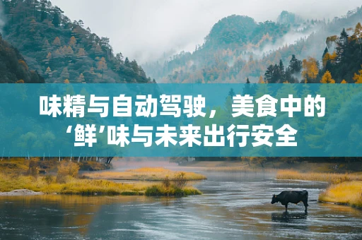 味精与自动驾驶，美食中的‘鲜’味与未来出行安全